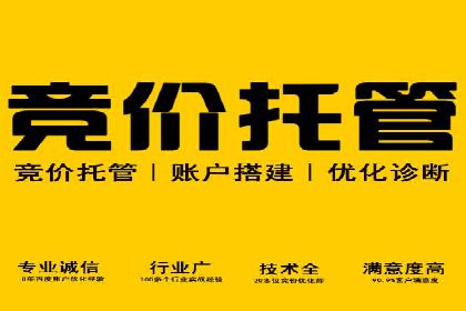 搜索引擎营销（SEM）广告投放的技巧与经典案例